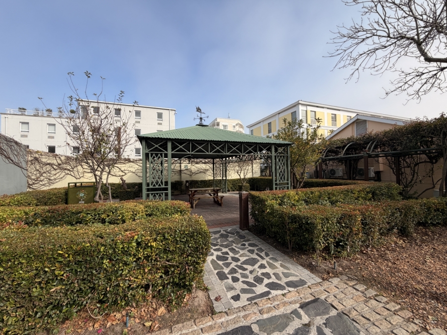 To Let Commercial Property for Rent in Waterfront Western Cape